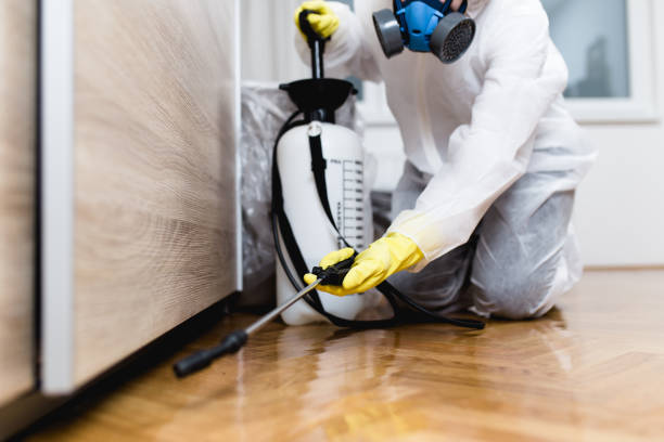 Best Exterminator Services  in Franklinton, LA