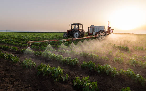 Best Commercial Pest Control Services  in Franklinton, LA