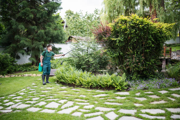 Best Pest Control for Homes  in Franklinton, LA