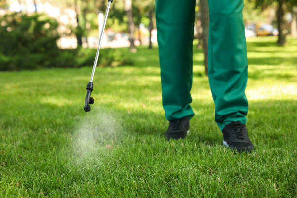 Best Rat Extermination Near Me  in Franklinton, LA