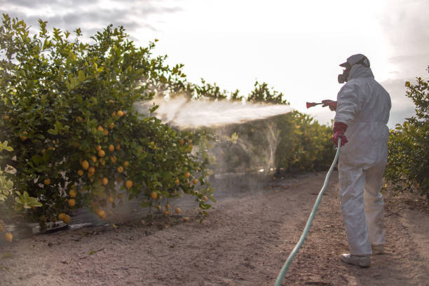 Best Commercial Pest Control Services  in Franklinton, LA