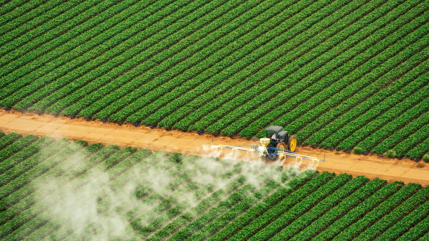 Best Insect Control  in Franklinton, LA
