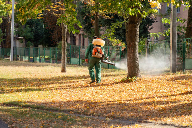 Best Best Pest Control Companies  in Franklinton, LA