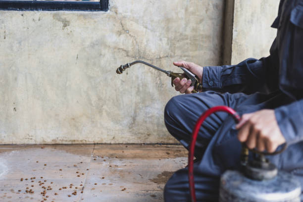 Best Affordable Pest Control Services  in Franklinton, LA