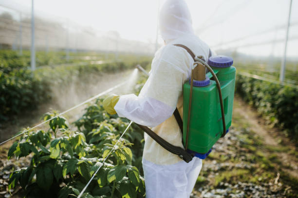 Best Termite Control Services  in Franklinton, LA